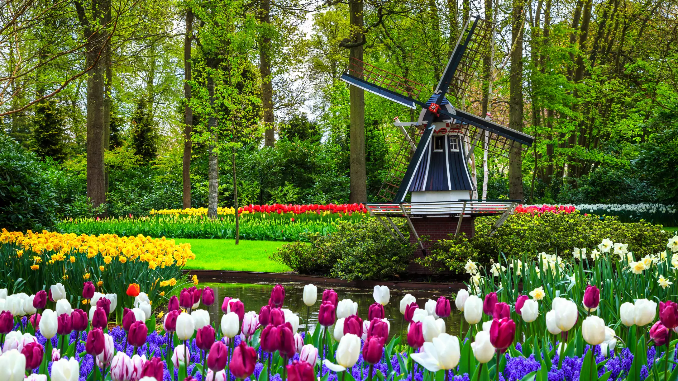 Bruges, Medieval Flanders, Amsterdam and the Dutch Bulbfields - River Cruise