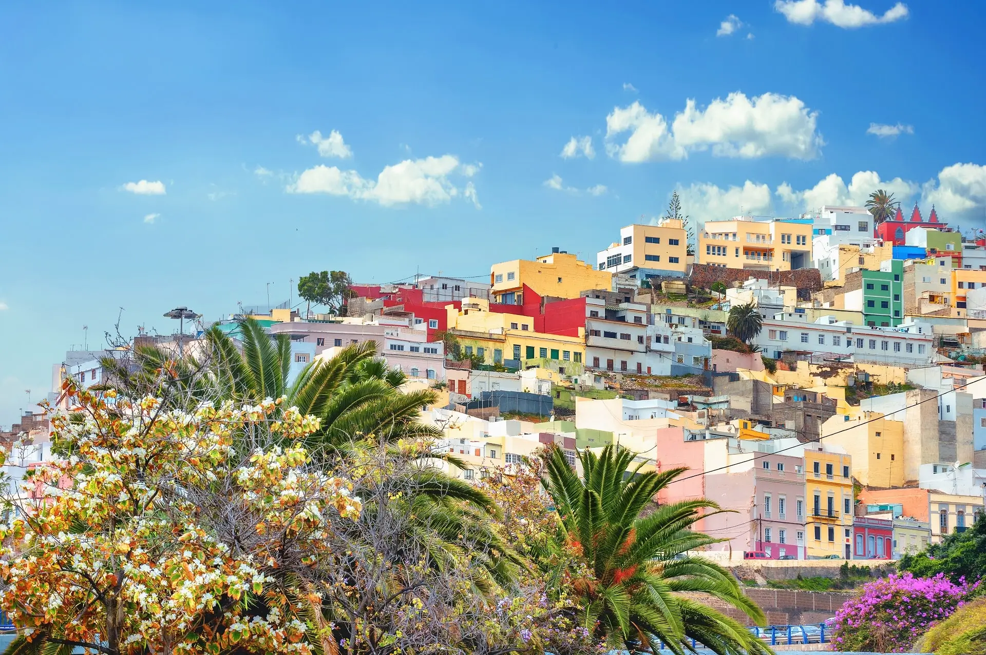Canarian Flavours