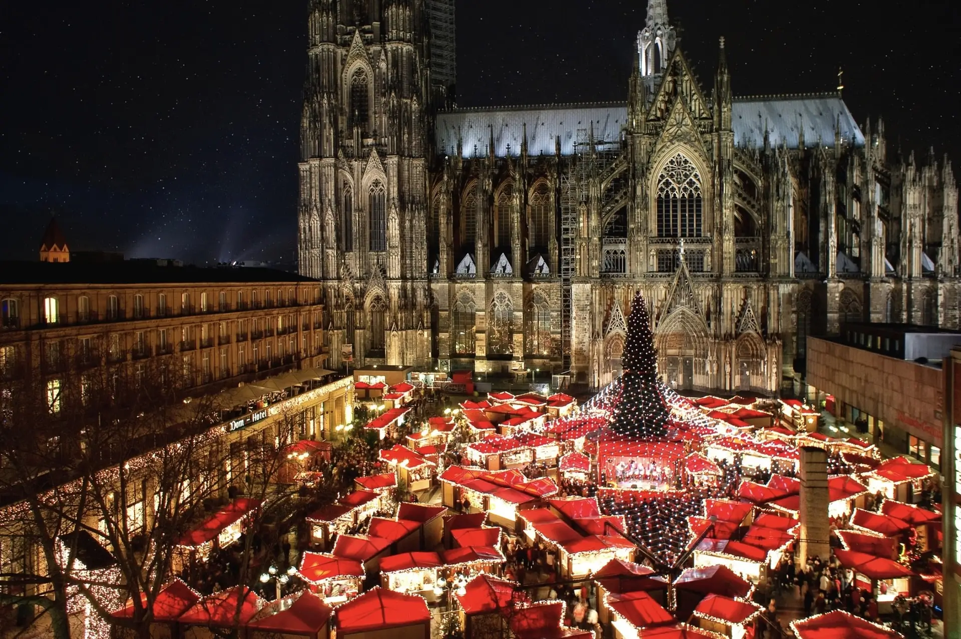 Festive Fairy Tale
