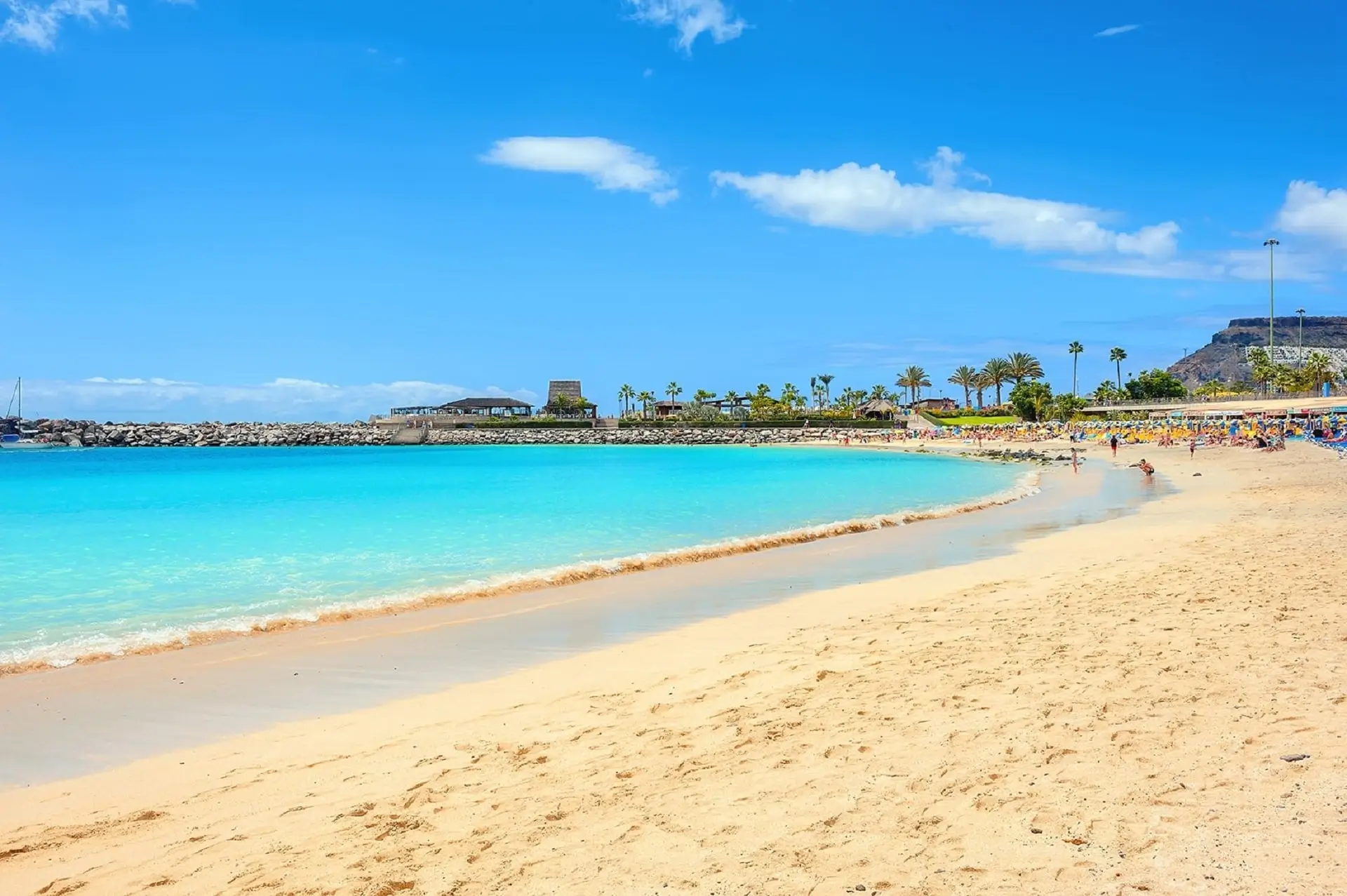 Canary Islands Celebration