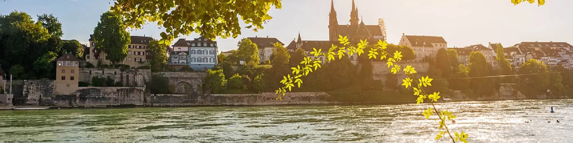 Rhine Explorer 2