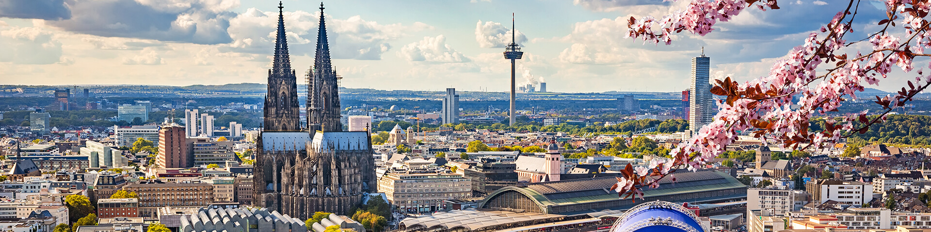 Romantic Rhine: Mainz to Düsseldorf