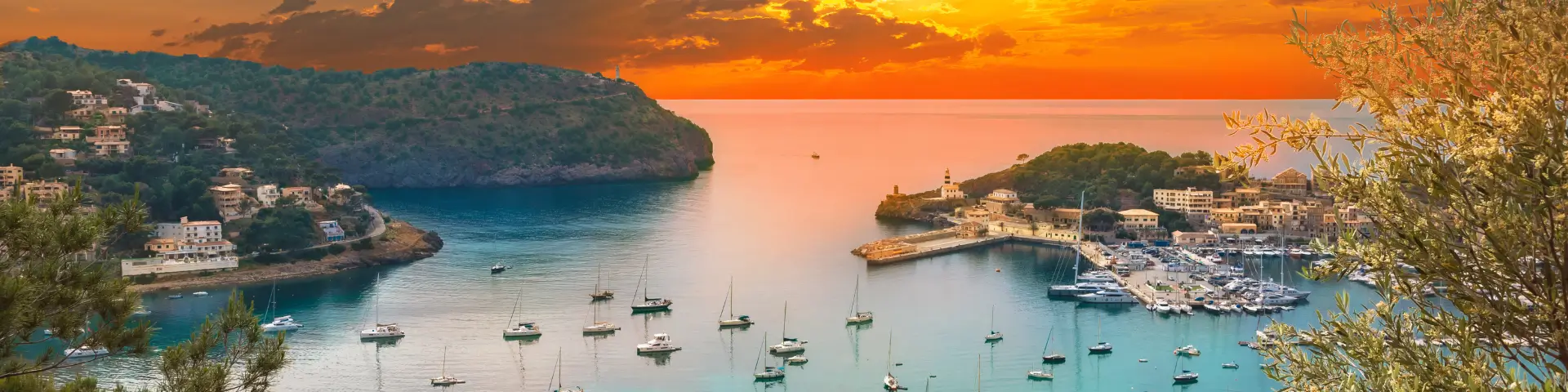 Sol Palmanova